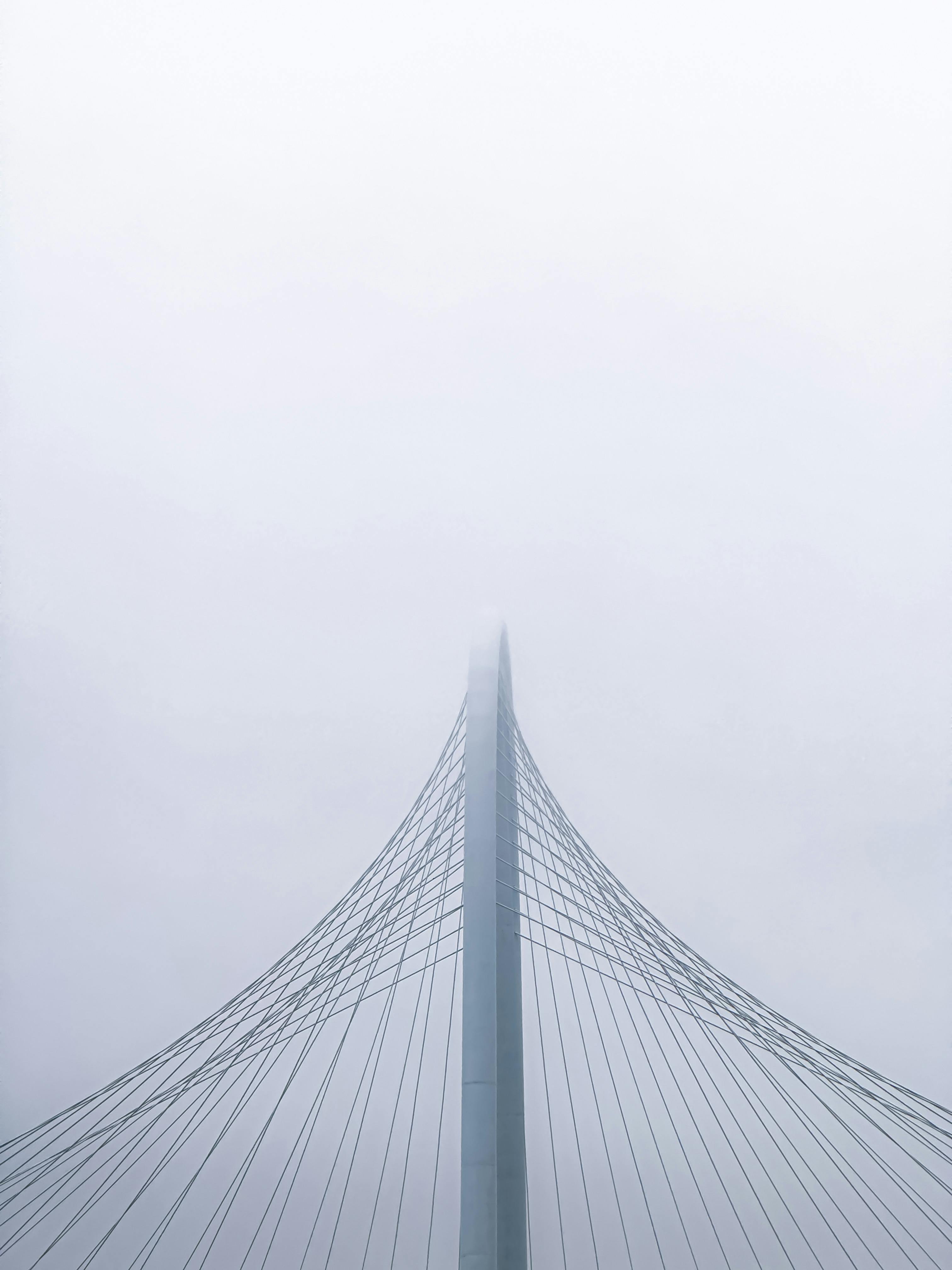 Dallas Winter Storm: SMB Survival Guide for SEO & Marketing